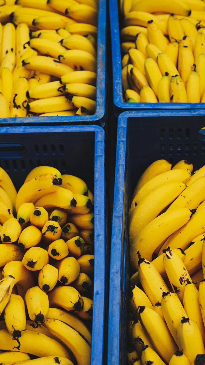 Item barato pode ser solução de seus problemas com bananas