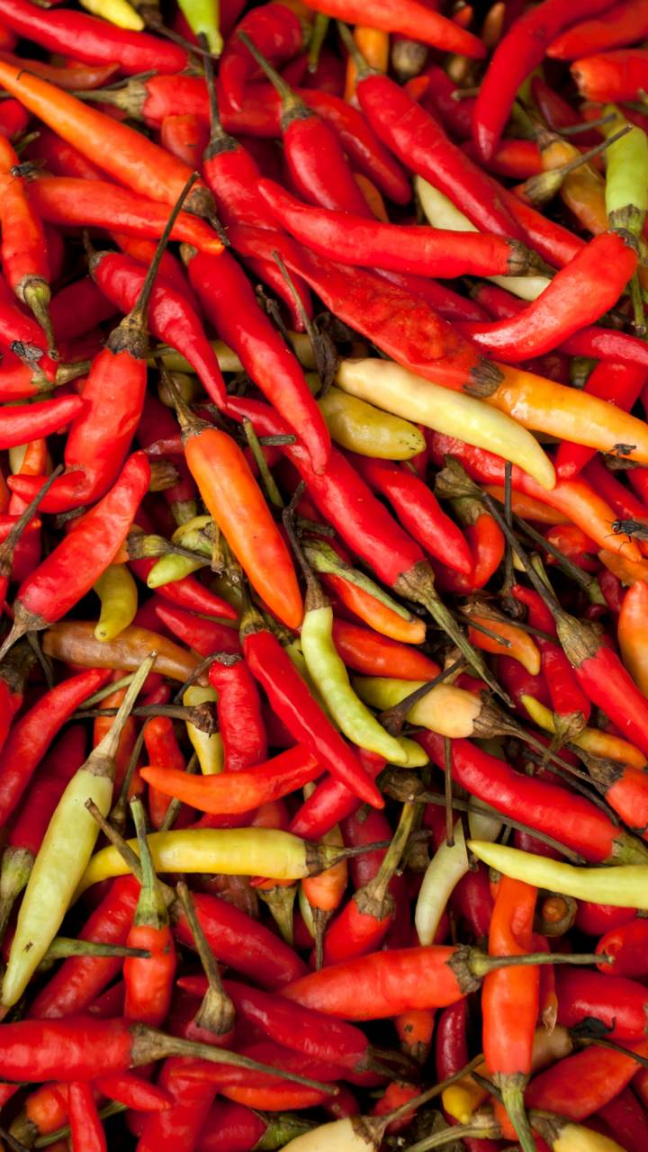 Estudo mostra que consumo moderado de pimenta reduz risco de diabetes gestacional