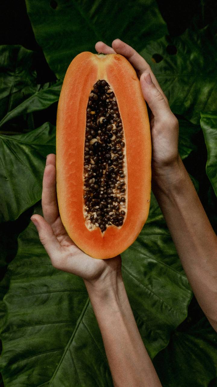 Alimento tem compostos naturais que ajudam no trânsito intestinal e reduzem inflamações