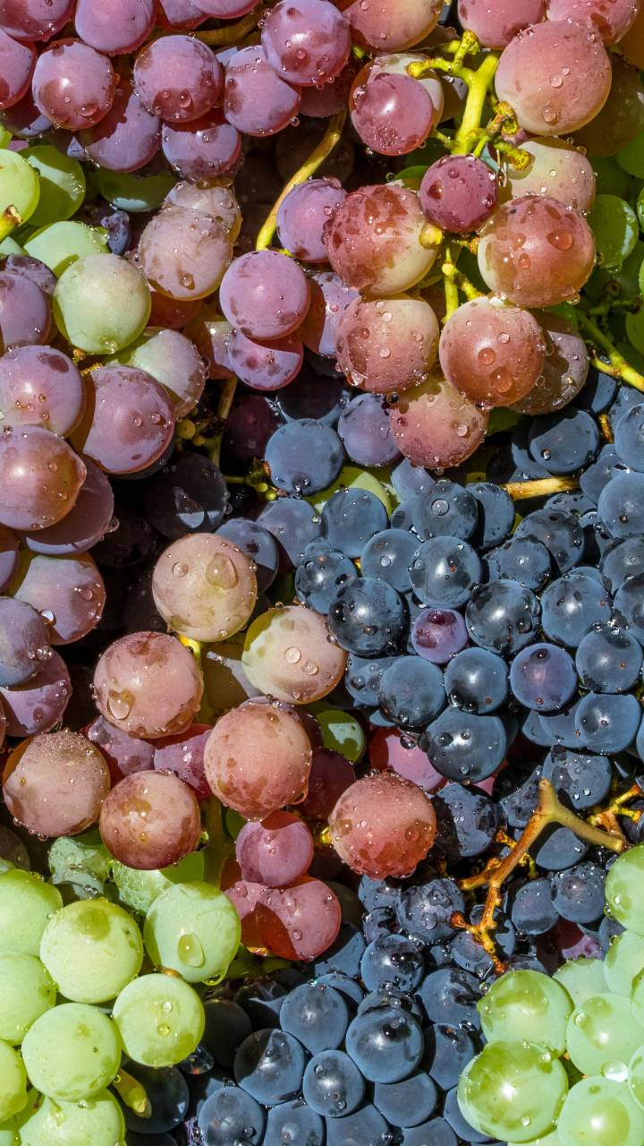 Uva surpreende com efeitos profundos na saúde cardiovascular