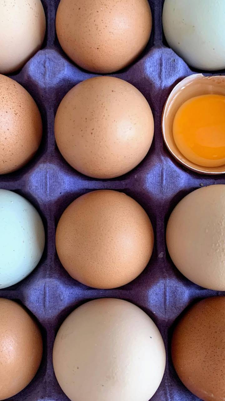 Você tem um tesouro em casa para sua horta caseira