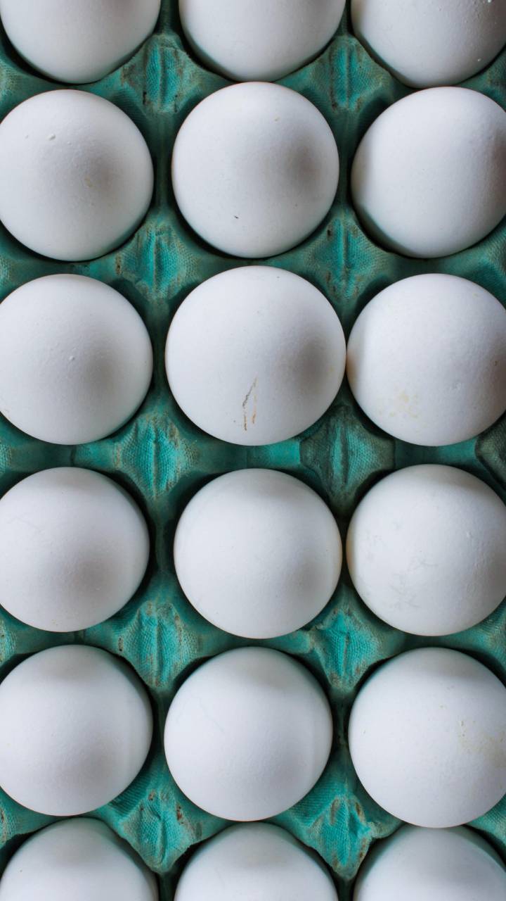 Região abriga mais de 60 granjas e concentra 15% da produção nacional