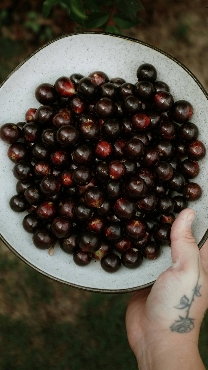 Com cerca de 20 mil habitantes, local possui 42 mil pés de jabuticaba em produção