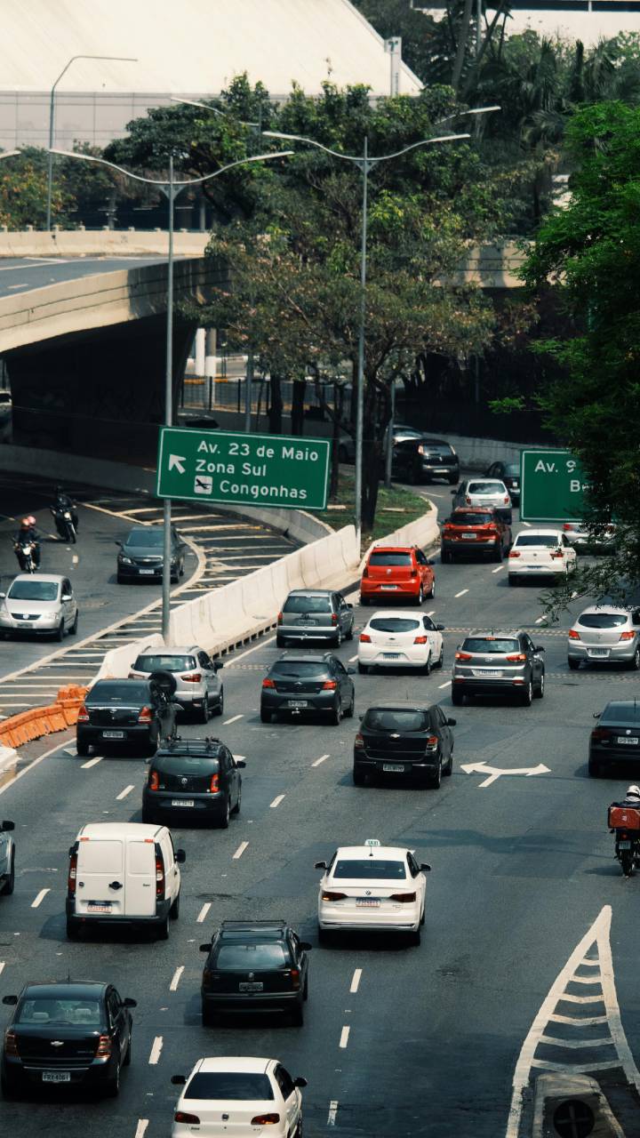 Descubra a história, características e curiosidades da mais extensa via da capital paulista