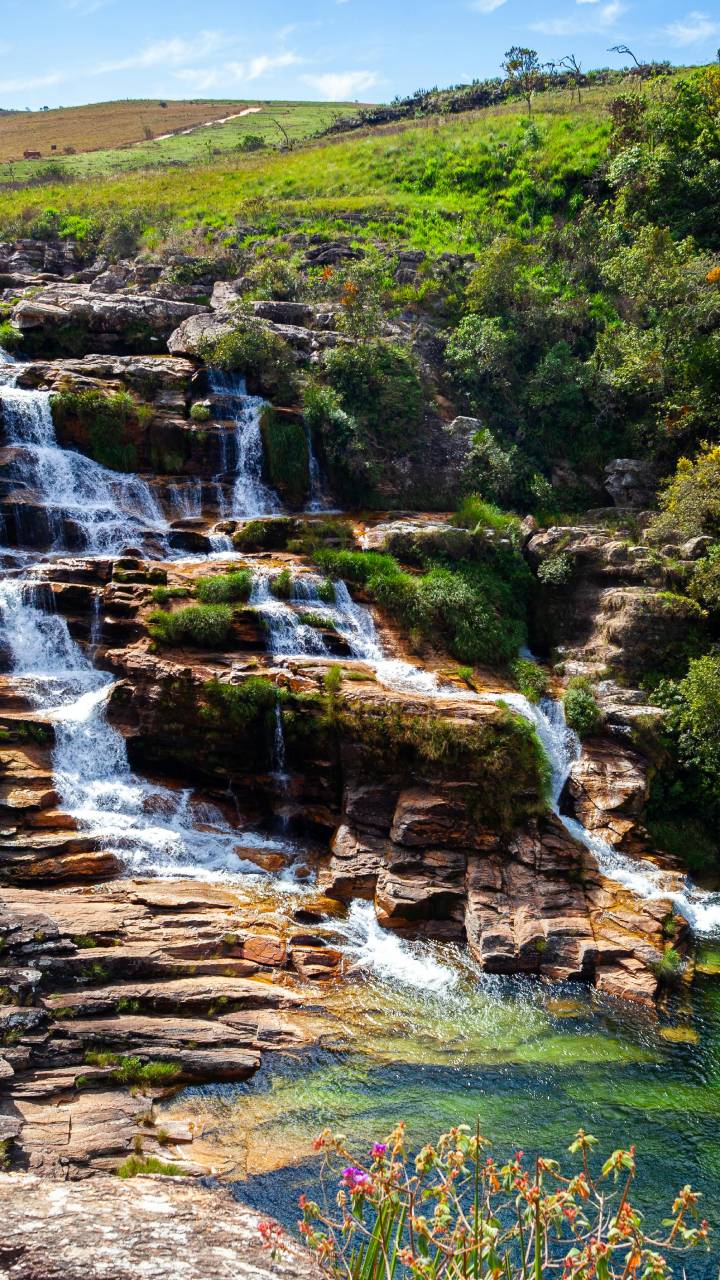 Parque natural encanta turistas com sua flora e fauna preservadas