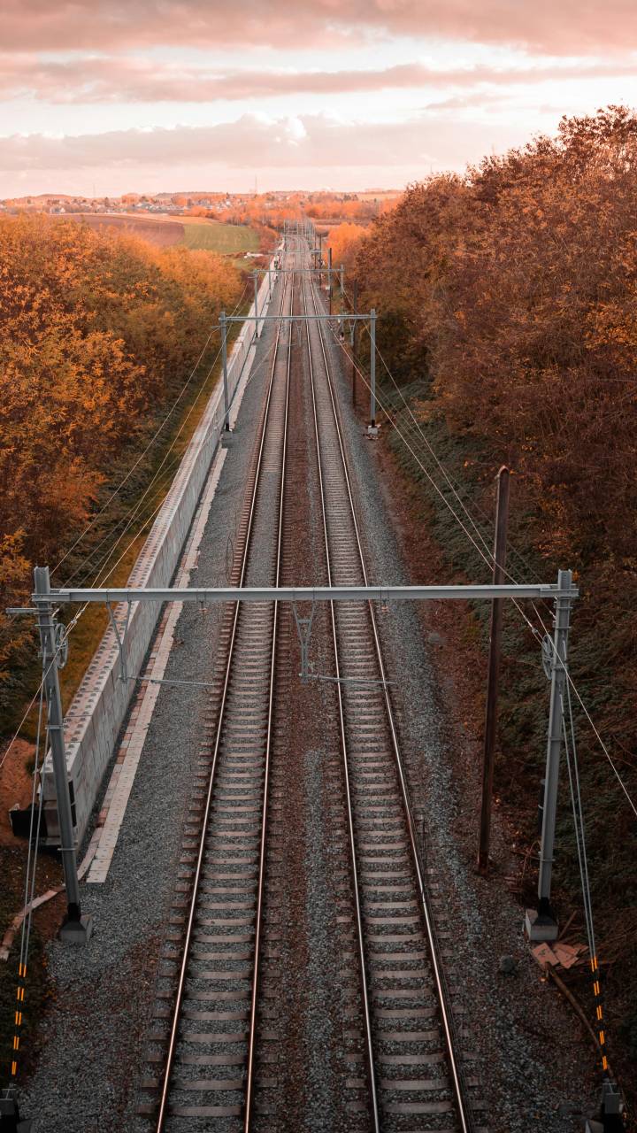 Elas estão em todas as linhas ferroviárias e têm funções importantes