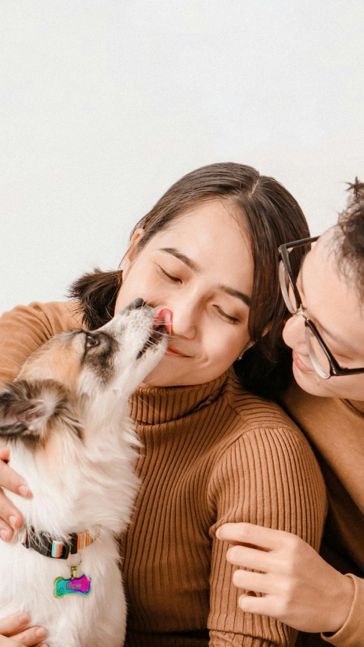 Na visão da psicologia, conversar com pets vai além do amor cotidiano