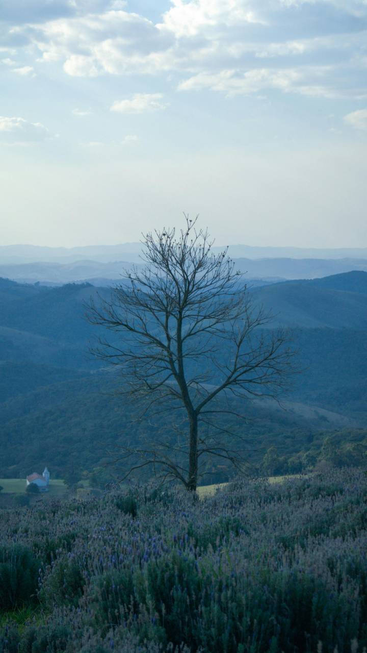 Local abriga paisagens impressionantes, incluindo cachoeiras potentes