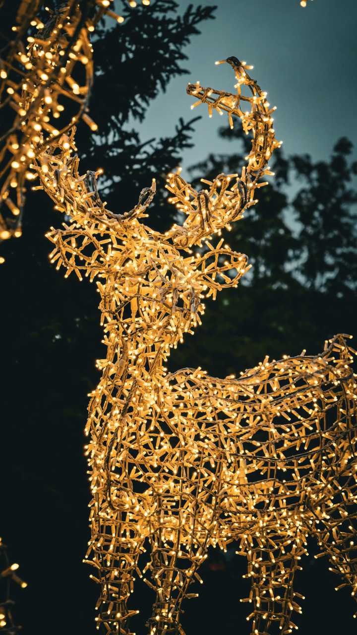 Programação inclui apresentações com Coral de Natal, a Banda Santa Cecília e a Parada de Natal