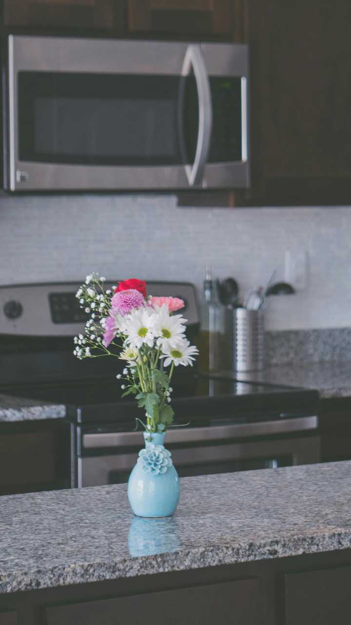 Novo micro-ondas multifuncional combina grill, convecção e vapor