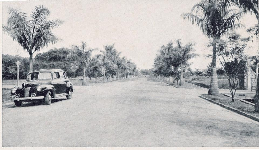 Jardim Botânico de São Paulo em 1943 - Foto:  Acervo do Instituto de Botânica