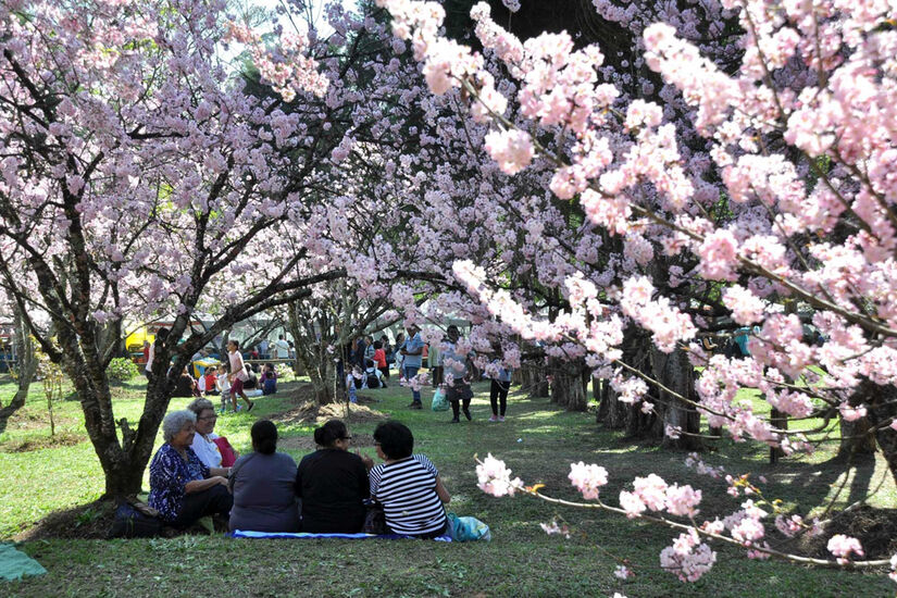 Parque do Carmo  - Foto: Aglécio Dias/Folhapress