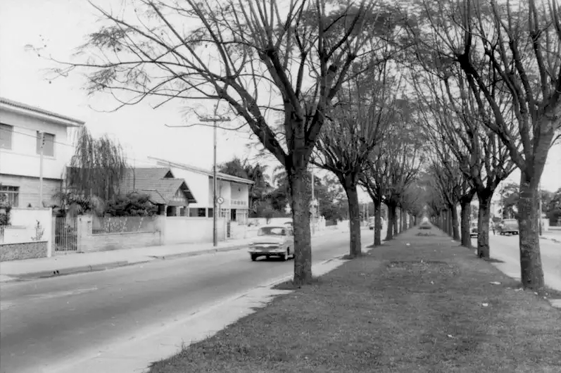 Av. Rebouças no Jardim América - Foto: Reprodução