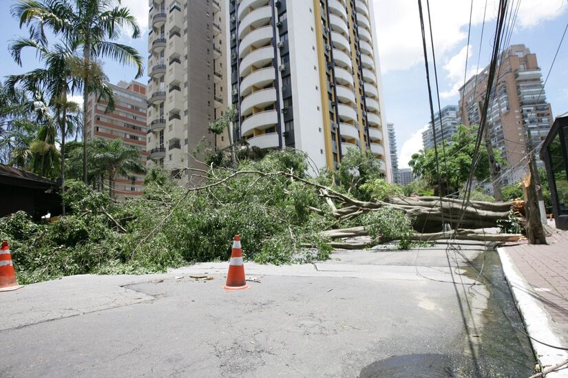 A árvore que caiu entre a avenida Juriti e da rua Tuim após as fortes chuvas desta terça-feira (9)/Thiago Neme/Gazeta S.Paulo