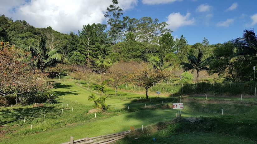 O Clube Mallet Golf, fundado em 1950, é um espaço para a prática do mallet golf, um esporte tradicional japonês, e organiza eventos que promovem a cultura nipônica - (Setoue/Google Reviews)