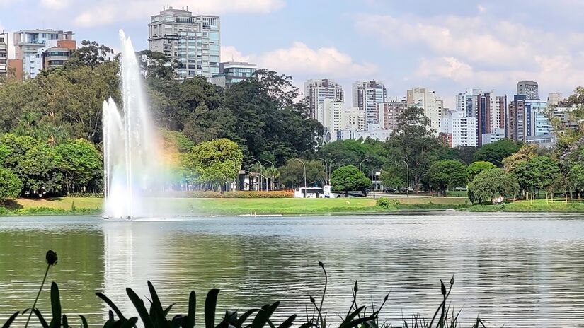 Uma curiosidade do parque já começa em como ele é chamado. O nome Ibirapuera significa "árvore apodrecida", em tupi-guarani.Atualmente abrigo de belos jardins, áreas de esporte e de museus, o local era, em suas origens, uma área alagadiça, com solo de várzea e, por isso, foi assim nomeada pelos indígenas que habitavam a região - (Victor Mariano Fidelis Silva/Google Reviews)