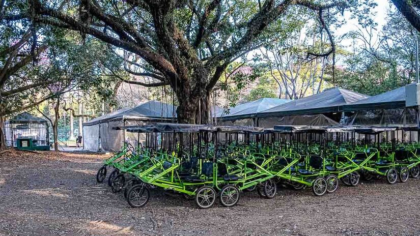 Parque Ibirapuera completa 70 anos
Foto: Rodrigo Pivas/Gazeta de São Paulo