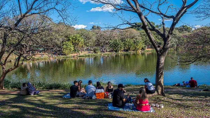 Parque Ibirapuera completa 70 anos
Foto: Rodrigo Pivas/Gazeta de São Paulo