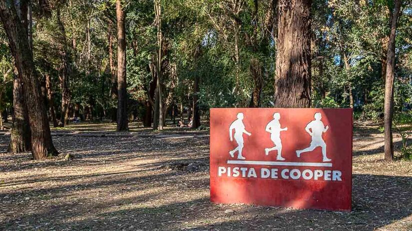 Parque Ibirapuera completa 70 anos
Foto: Rodrigo Pivas/Gazeta de São Paulo