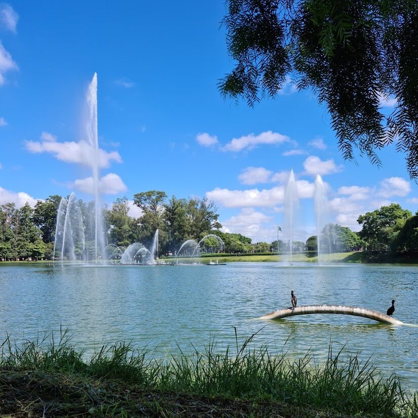 O Ibirapuera é líder disparado de visitação, ultrapassando outros nomes fortes como o Parque da Independência e o Villa-Lobos, por exemplo. O local chega a receber 150 mil pessoas por fim de semana. O parque ultrapassou o número de 12 milhões de visitas nos anos de 2022 e 2023 - (Luís Felipe Vasconcellos Firmino)