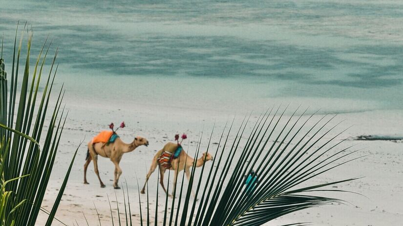 Segunda maior cidade do Quênia e um importante porto no Oceano Índico, Mombaça está na terceira posição mundial. A cidade é conhecida por suas praias deslumbrantes, importância cultural e história. Foto de Harshil Gudka na Unsplash.