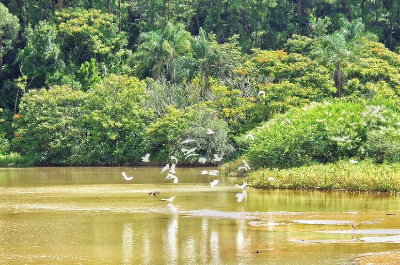 O nível de poluição do local é mais baixo que a média nacional. A temperatura média anual é de 19,6 &ordm;C, o que segundo os moradores e visitantes, contribui para tornar o local muito agradável - (Cristiano Souza/Google Reviews)