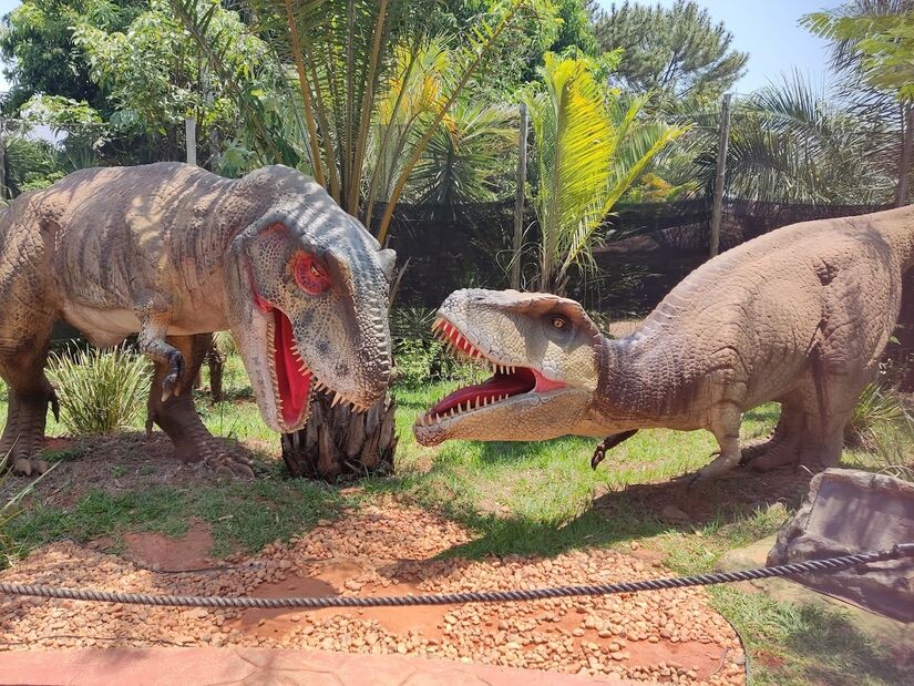 O Vale dos Dinossauros Olímpia é um parque temático localizado em uma extensa área de 10 mil m&#xB2;. O destaque fica para a apresentação de 38 dinossauros animatrônicos, incluindo o famoso Tiranossauro Rex e o colossal Brachiosaurus - (Iasmim Kellen/Google Reviews)