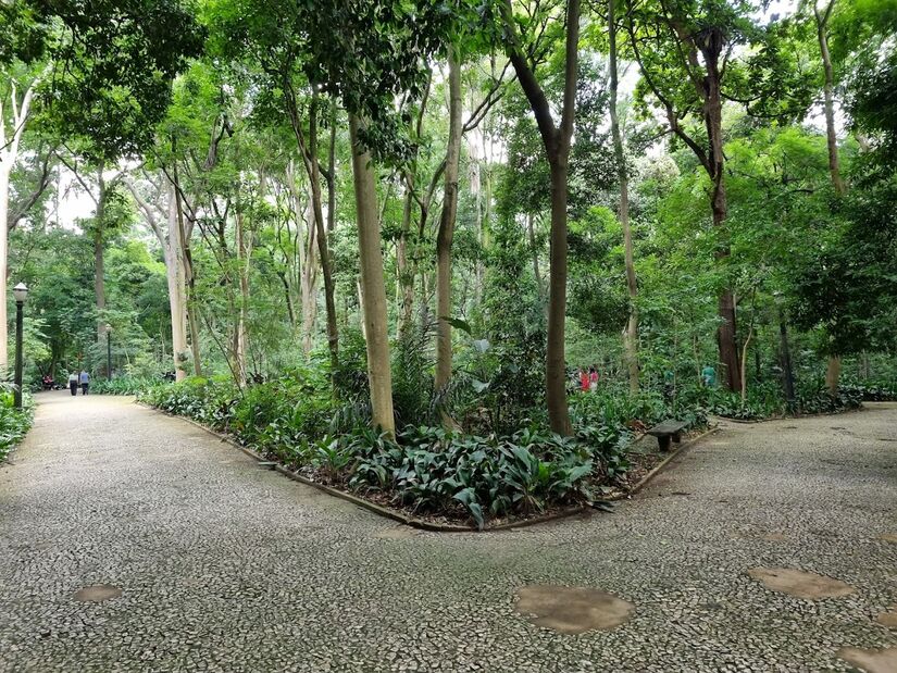 Para quem ama natureza, o Parque Trianon é ideal para fugir dos prédios, lojas e toda a agitação do cotidiano, sem precisar deixar a Avenida Paulista. O local é perfeito para respirar um ar no meio de árvores e fazer uma caminhada em um pedaço da Mata Atlântica. No parque tem aparelhos de ginástica, playgrounds e a famosa Trilha do Fauno - (Rodrigo Porto/Google Reviews)