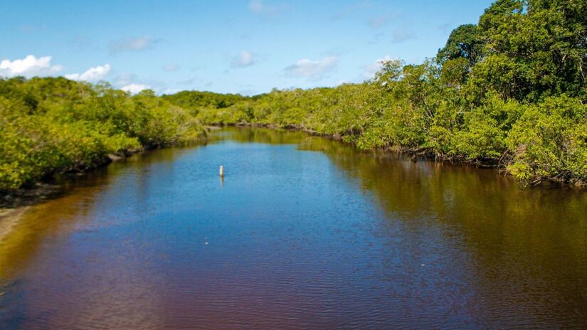 Por estar dentro do Parque Estadual da Ilha do Cardoso (PEIC), a Praia do Pereirinha tem uma capacidade limitada para visitantes, comportando até 1.000 pessoas por dia. Foto: Prefeitura de Cananéia