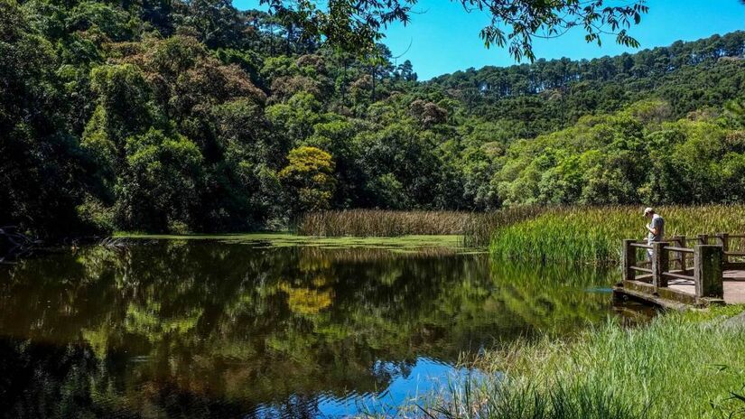 A principal trilha do parque é também a mais longa, com 9,6 km de extensão no total, ela é toda asfaltada e com placas que indicam a direção até chegar ao mirante (Pedra Grande). / Foto: trilheiros.net