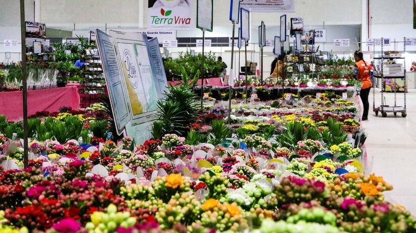 O evento reúne mais de 300 produtores florais para uma experiência única. Serão 300 espécies de flores e plantas ornamentais em exposição para venda, além de quatro mil variedades no Shopping das Flores - (Divulgação)