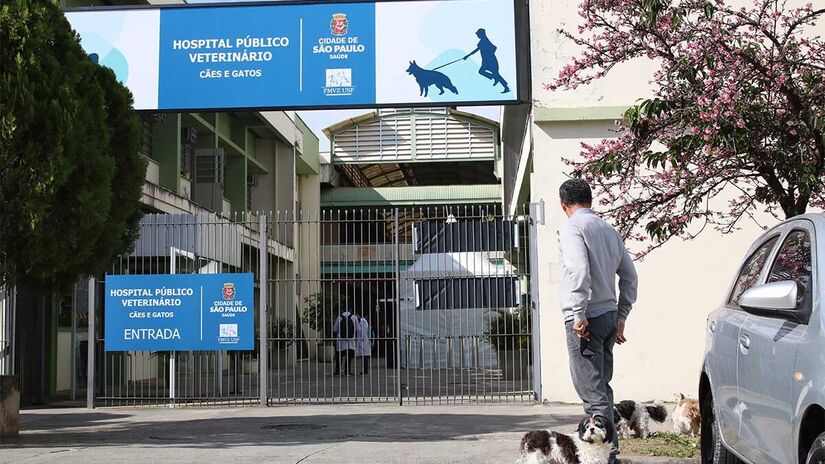 Os hospitais veterinários públicos de São Paulo atendem casos de urgência e emergência - Foto: Rovena Rosa / Agência Brasil