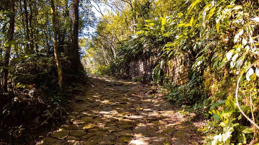 Trilha da Calçada do Lorena - Foto: Divulgação / Parque Caminhos do Mar