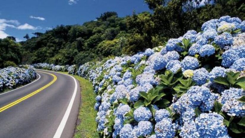 5) A Rota Romântica é uma jornada encantadora pela cultura alemã e as paisagens da Serra Gaúcha. Começando em Porto Alegre, a estrada passa por cidades históricas como Gramado e Canela, oferecendo uma experiência rica em arquitetura, gastronomia e festivais culturais. Foto: Divulgação