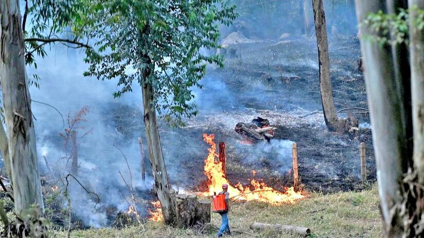 Incêndio começou segunda-feira (9/9) na divisa do município de Morungaba com Campinas. Foto: Carlos Bassan