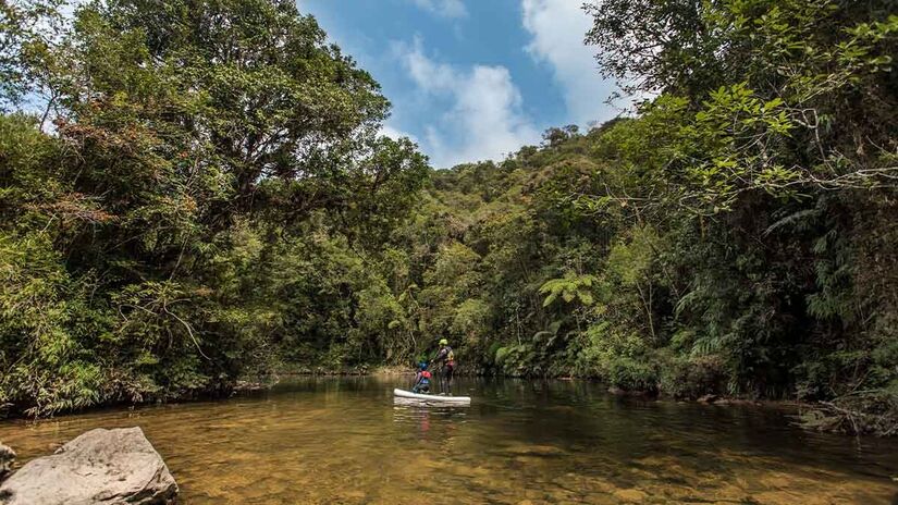 O SelvaSP funciona como uma agência que possibilita diversas experiências em meio à natureza - Foto: Alécio Cezar / Divulgação SelvaSP