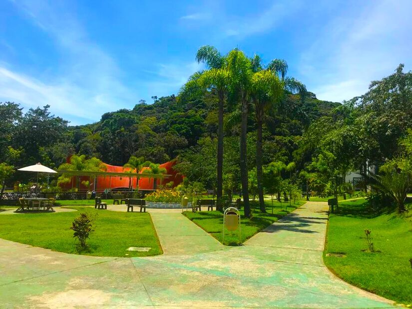 O Viva Parque também é ideal para passar um dia em contato com a natureza/ Foto: Divulgação/Viva Parque