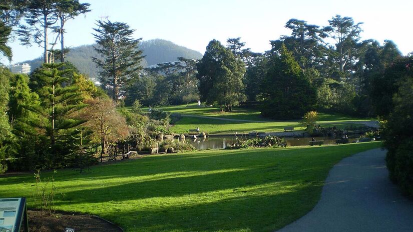 Golden Gate Park, em São Francisco - Foto: Superchilum / Wikimedia Commons