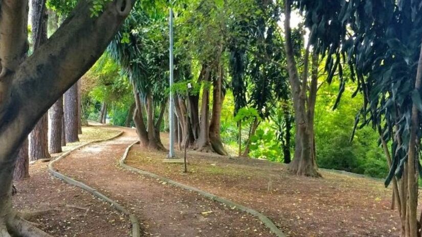 Próximo ao Parque Estadual da Cantareira, Jaçanã também figura entre os bairros com mais vegetação. Foto: Divulgação