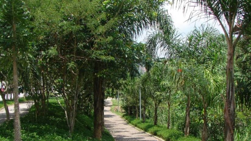 Palhereiros, no extremo sul da Capital, possui parte da Repreda de Guarapiranga, área que abriga vasta área verde. Foto: Divulgação