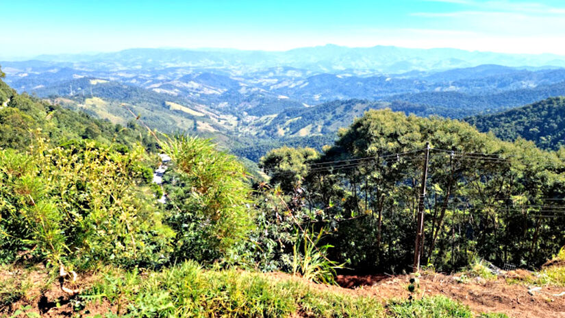 O Parque Amantikir surgiu em 2007 e tem conquistado mais visitantes a cada ano que passa. A ideia da criação do parque veio do engenheiro agrônomo e paisagista Walter Vasconcellos, que viajou ao mundo e conheceu paisagens que desejava que existissem também em sua cidade natal (Campos do Jordão) - (Enilson Marins/Google Reviews)