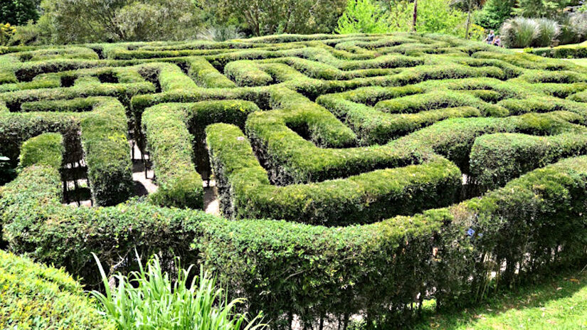 Entre as inúmeras atrações de Campos do Jordão, uma delas encanta a todos com labirinto, mirante e trilha, além de lindos campos de flores: o Parque Amantikir. Não à toa, esta atração é eleita a melhor opção de turismo desde 2013 pelo TripAdvisor - site especialista em turismo - (Valdecy Pereira/Google Reviews)