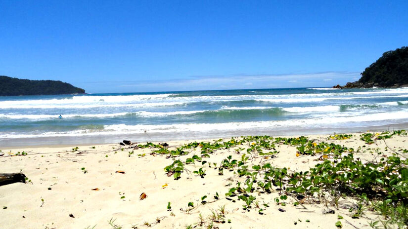 O contato com a natureza também é um ponto extra para a praia, que conta com uma faixa de areia longa, muitas árvores que proporcionam boas sombras, além de um visual de tirar o fôlego - (Divulgação/smt)