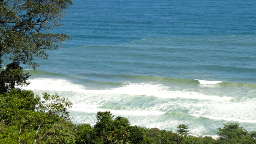 O acesso até a Praia Brava de Camburi não é das coisas mais simples. Não há placas de sinalização na estrada que apontem onde se inicia a trilha que leva ao local. O grau da trilha é de dificuldade média, e estes fatores explicam a ausência de público no local - (Divulgação/smt)