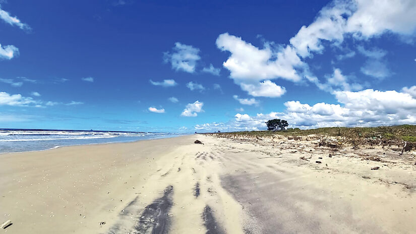 Com praias intocadas, manguezais fascinantes e uma biodiversidade marinha única, as praias são banhadas pelo Oceano Atlântico em meio a uma combinação perfeita de areias brancas e águas cristalinas - (Divulgação/PMC)