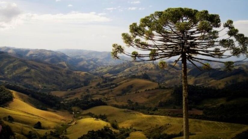 Senador Amaral, localizada na Serra da Mantiqueira a 1.505 metros de altitude, é uma das cidades mais frias do Brasil e ainda pouco explorada. Foto: Divulgação/Prefeitura 