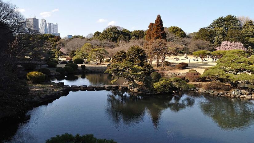 Jardim Nacional Shinjuku Gyoen, em Tóquio - Foto: AMANO Jun-ichi / Wikimedia Commons