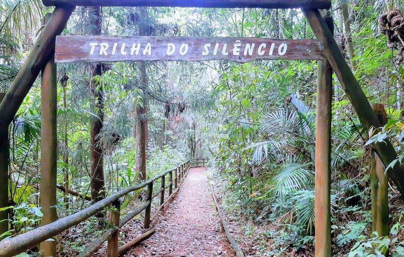 4. Trilha do Silêncio: Uma das opções mais relaxantes para os participantes. Seu nome se deve à presença de uma vasta vegetação que abafa a maior parte dos ruídos produzidos pelas rodovias que cercam o parque do Jaraguá. Com um trajeto também sem grandes dificuldades, ela é uma opção tranquila que vale a pena ser aproveitada sozinho ou em família - (Wagner Theodoro/Google Reviews)