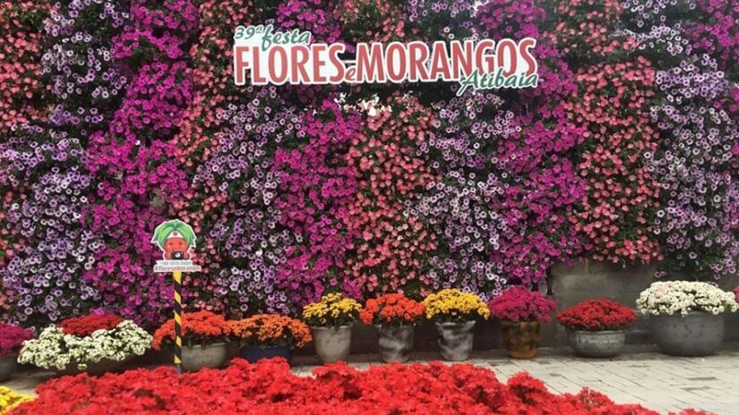 Um dos pontos altos do calendário anual de Atibaia é a Festa das Flores e do Morango, que reúne milhares de visitantes para celebrar a colheita e a tradição japonesa na região. Foto: Prefeitura de Atibaia