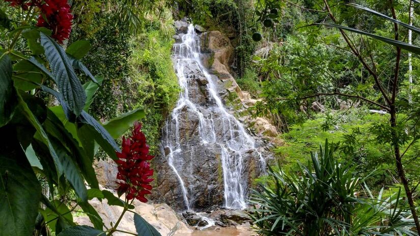 Localizada na Serra da Mantiqueira, no interior de São Paulo, a pequena cidade de Caconde é um destino repleto de opções para quem ama natureza e aventura. As diversas paisagens rurais são um espetáculo à parte para quem gosta do interior e do turismo rural - (Divulgação/Turismo Caconde)